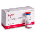 Fortum inj. 1g N1