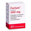Fortum 0.5gr pulb./sol.inj. N1