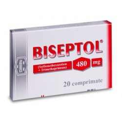 Biseptol tab 480mg N20 (Polonia)