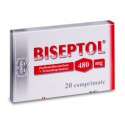 Biseptol tab 480mg N20 (Polonia)