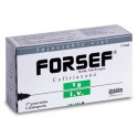 Forsef inj 1g i/v