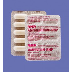 Ampicilin-RNP caps 500 mg N10x10