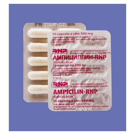 Ampicilin-RNP caps 500 mg N10x10