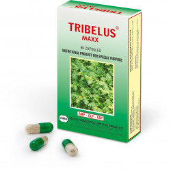 Tribelus caps N60