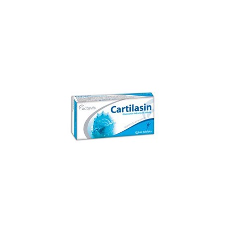 Cartilasin comp. 500 mg N60