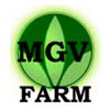 MGV-Farm, Moldova